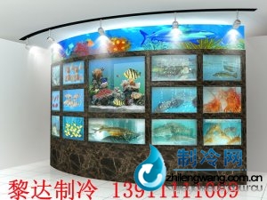 海鲜鱼缸设计图 ldzl 176